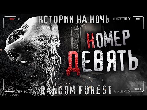 Видео: НОМЕР ДЕВЯТЬ. Страшные истории на ночь. Страшилки на ночь. Про попаданцев.
