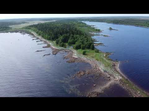 Видео: Водный поход по р. Воньга
