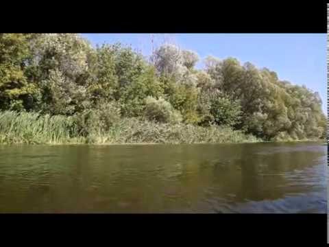 Видео: "Почему так называется?" Оскол (24.02.2014)