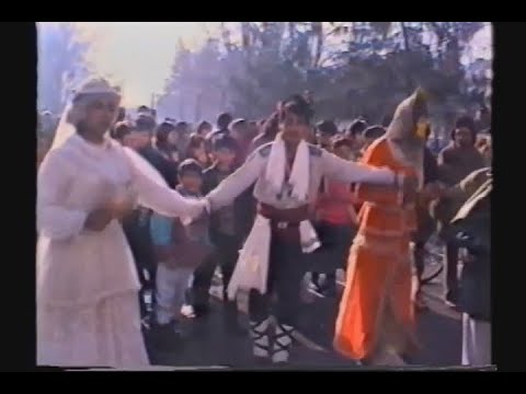 Видео: Луди булки Ивановден Гулянци 1999