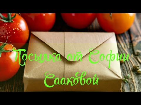 Видео: РАСПАКОВКА И ОБЗОР ПОСЫЛКИ от СОФИИ СААКОВОЙ. Шикарные Новинки сортов томатов. Шуршим пакетиками )))