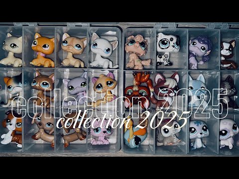 Видео: Моя коллекция lps за 2025 год | 1 ЧАСТЬ | littlest pet shop