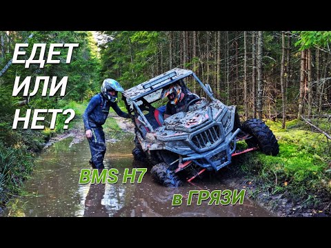 Видео: Месим грязь! Багги BMS H7 против KTA K7!
