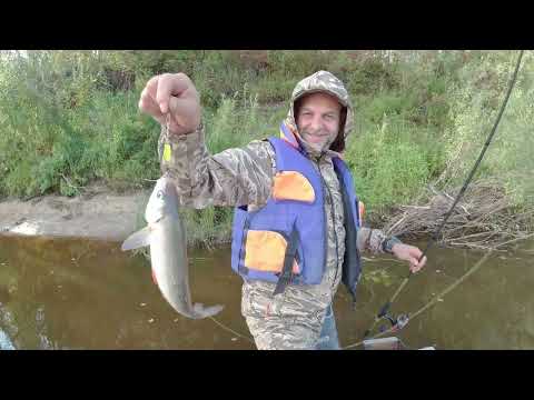 Видео: наша Рыбалка 2023г