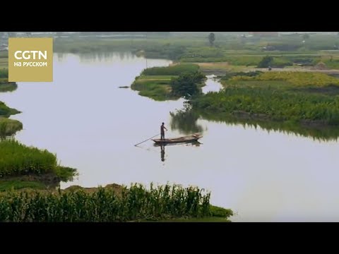 Видео: Китай на кончике языка Серия 7 Наши поля Часть 2 [Age0+]