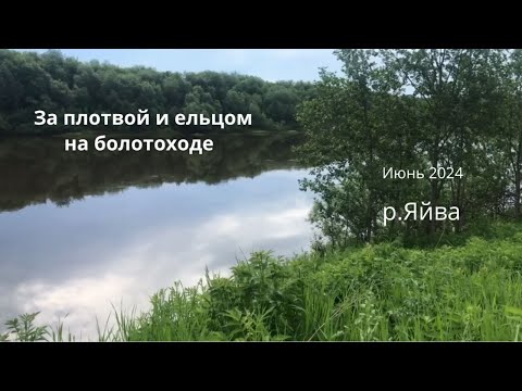 Видео: Зарисовки о рыбалке: На болотоходе за плотвой и ельцом. Щука на мормышку.