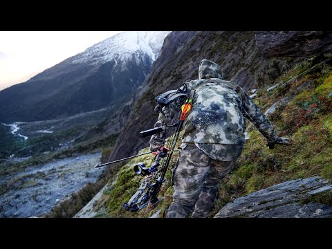 Видео: 7 дней охоты с луком в дикой природе