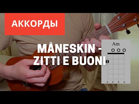 Видео: Maneskin - ZITTI E BUONI Аккорды и бой на Укулеле