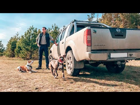 Видео: Отзыв реального владельца о Nissan Navara D40 / Ниссан Навара - Лучшая машина для деревни.