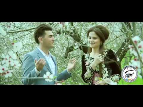 Видео: МАЙДА - МАЙДА ЧАШМ ВО КУН!)))))))))