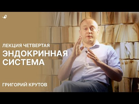 Видео: Эндокринная система. Лекция 4. Как тело управляет сахаром и кальцием.