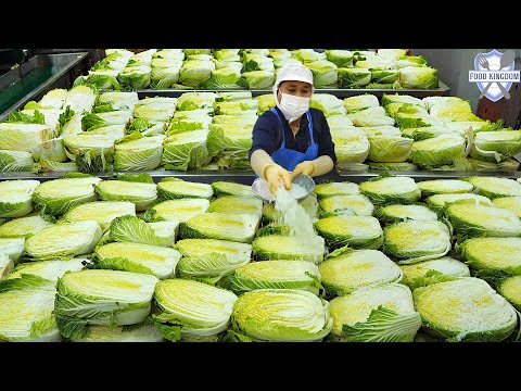 Видео: Притягательный пикантный вкус! Завод массового производства корейского острого кимчи