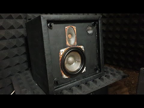 Видео: Кубики Салтыкова - удивительная акустика из прошлого.