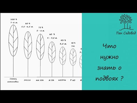 Видео: виды подвоев для плодовых деревьев