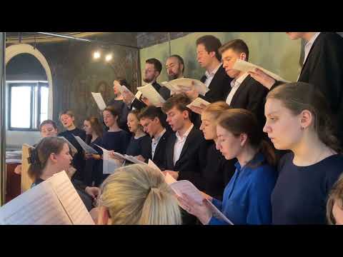 Видео: Милость Мира Киевского напева на литургии Василия Великого  С.Д. Орфеев