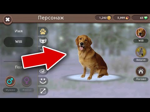 Видео: ЧТО ДОБАВИТЬ в WILDCRAFT и ВЫПОЛНЯЕМ КВЕСТ