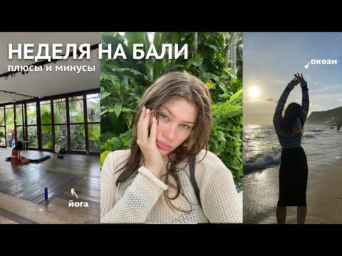 Видео: неделя из жизни на бали