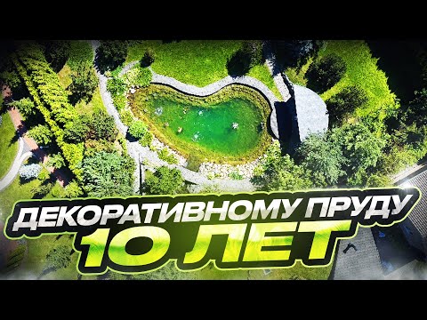 Видео: Пруд через 10 лет: наш опыт строительства и результаты спустя десятилетие