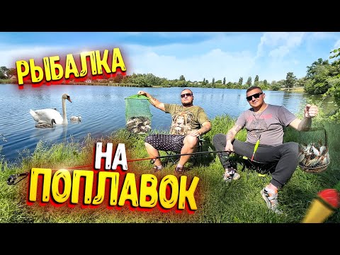 Видео: РЫБАЛКА НА ПОПЛАВОК! НАЛОВИЛИ НА ТАРАНКУ!