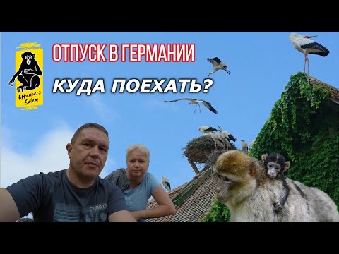 Видео: Куда поехать в Германии всей семьёй / Гора обезьян / Affenberg Salem