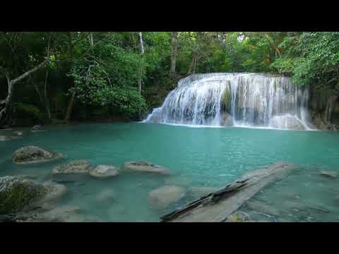 Видео: Расслабляющая музыка для снятия стресса, тревоги и депрессии • Исцеление разума, тела и души