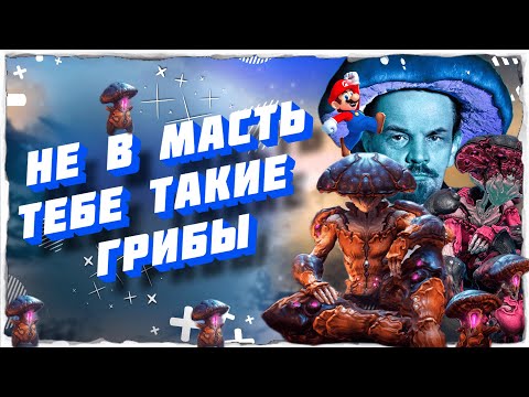 Видео: 🍄 ПОПРОБОВАЛ ГРИБЫ или WARFRAME Обновление 40