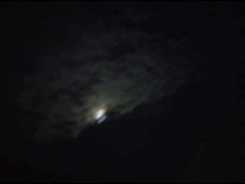 Видео: Зараза-холод и апатия