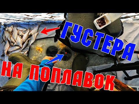 Видео: Ловля густеры на поплавок зимой. Водохранилище верхнемакаровское. Лед 2022-23.