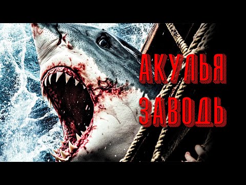 Видео: СТАЯ АКУЛ ЗАГНАЛА ИХ В ЛОВУШКУ 🦈 НО САМОЕ СТРАШНОЕ ЕЩЁ ВПЕРЕДИ! 💀// Ужасы, Триллер @kinokonvpalto