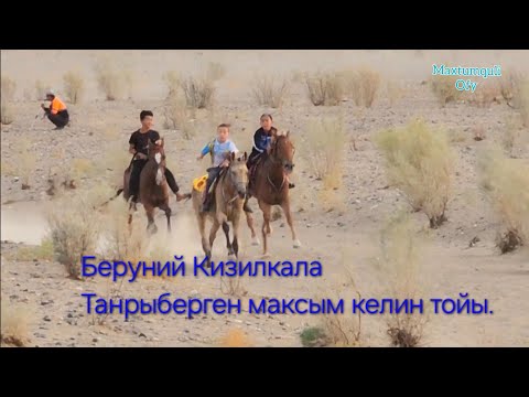 Видео: Беруний Кизилкала офй.Танырберген максиым келин тойы 3 июль 2025