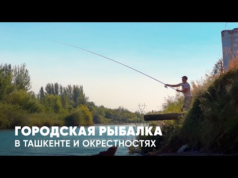 Видео: РЫБАЛКА В ТАШКЕНТСКИХ РЕЧКАХ  (часть 2)