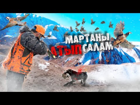 Видео: Ит мээнетимди жок кылды / Нерв жукарды / Боом капчыгайы