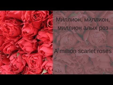 Видео: Learn Russian with Songs- Alla Pugacheva A Million Scarlet Roses - Алла Пугачёва Миллион Алых Роз