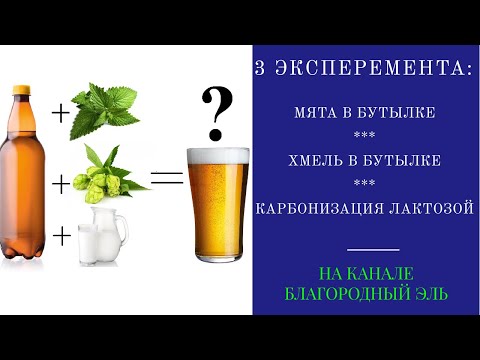 Видео: Тройной эксперимент: пиво с мятой, сухое охмеление в бутылке, карбонизация лактозой.
