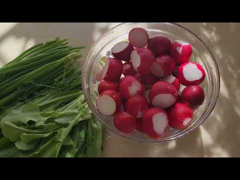 Видео: Майские дела по хозяйству. Часть 1-ая.Сборник этих дней.