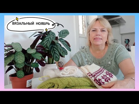 Видео: ВЯЗАЛЬНЫЙ ВЛОГ 10/24 👍🧶  Свитер готов!/ Совместный проект вяжется/ Идеи ноября🍁🍂