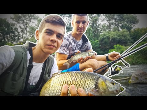 Видео: СПИНИНГ РИБОЛОВ в БЪРЗЕИТЕ на РЕКА ТУНДЖА! | РИБОЛОВ НА КЕФАЛ, РАСПЕР и СКОБАР / CHUB FISHING