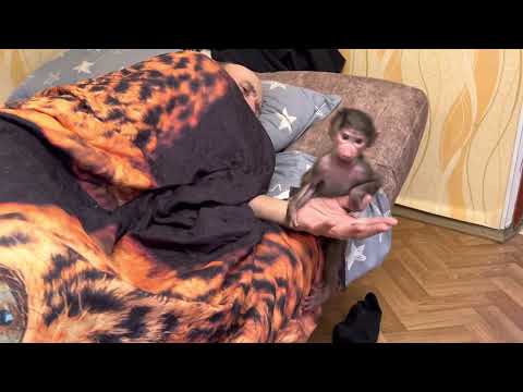 Видео: Как себя чувствует Люся? Дней 10 у неё уже точно НЕТ ПРИПАДКОВ!