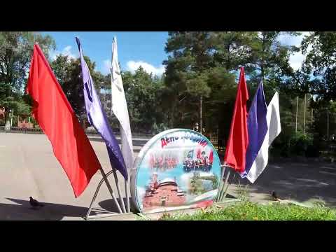 Видео: В Дальнереченск