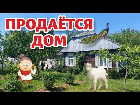 Видео: БЕЛАРУСЬ. Обзор дома в РАЙСКОМ месте! СПЕШИТЕ КУПИТЬ!