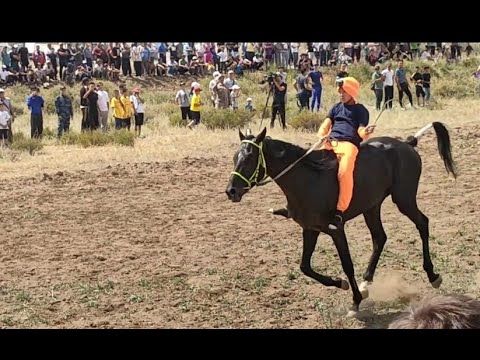 Видео: БІР АЙДА ЕКІ ТЕМІР ТҰЛПАР ҰТҚАН ЖҰЛДЫЗ
