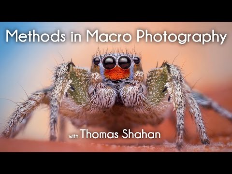 Видео: Методы макросъемки с Томасом Шаханом