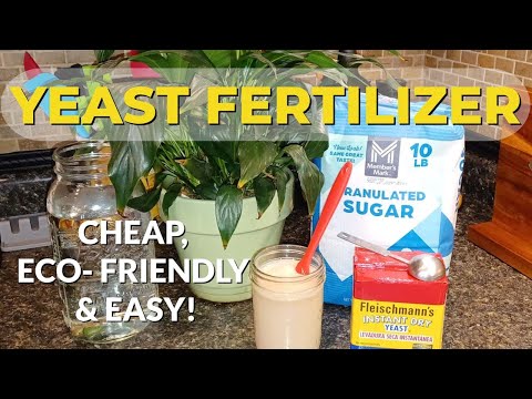 Видео: Дрожжевое удобрение для более крупных и здоровых растений: органическое, простое, недорогое и быс...