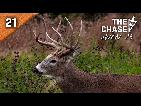 Видео: 11.06.25: Эпическая охота за приманкой, погоня Девина за «DW8»