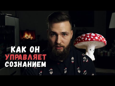 Видео: Полгода микродозинга / Как мухомор меняет мышление?
