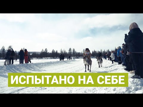 Видео: День оленевода в Якутии