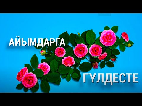 Видео: Айымдарга гүлдесте // Концерт