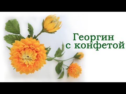 Видео: Георгин с конфетой. Цветы из гофрированной бумаги.