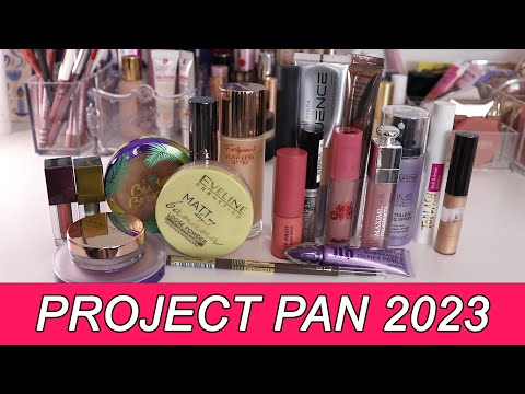 Видео: ПЕРВЫЙ ОТЧЕТ ПО PROJECT PAN | Использовать и выбросить | Проджект пэн 2023 год