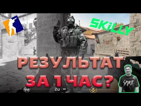 Видео: ОТ НОВИЧКА ДО ПРОФИ ЗА 1 ЧАС / Тренер SKILLY